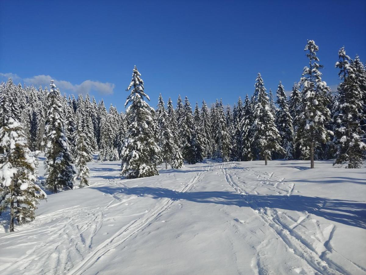 Villa Pokljuka Zgornje Gorje Exterior foto