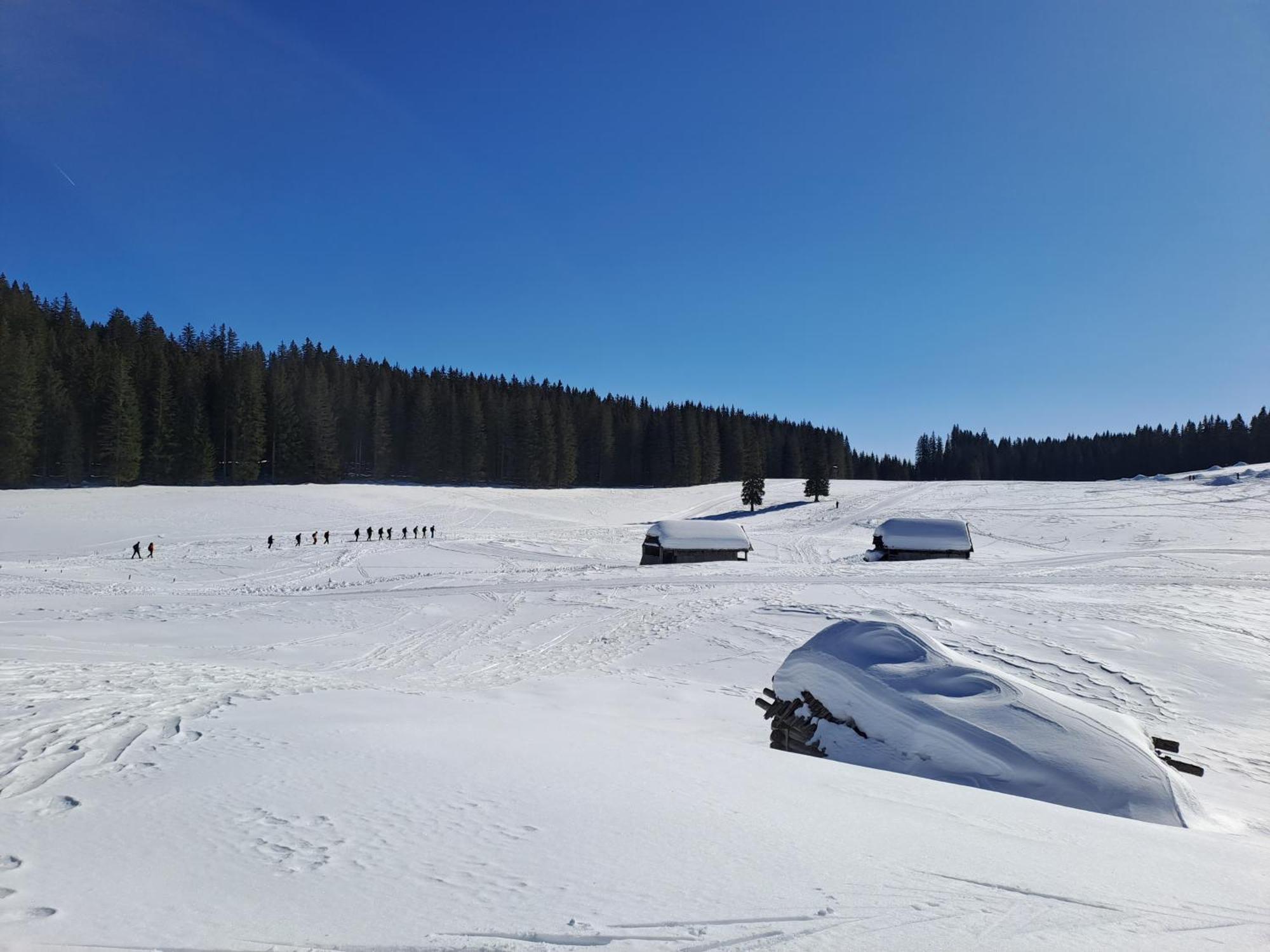 Villa Pokljuka Zgornje Gorje Exterior foto