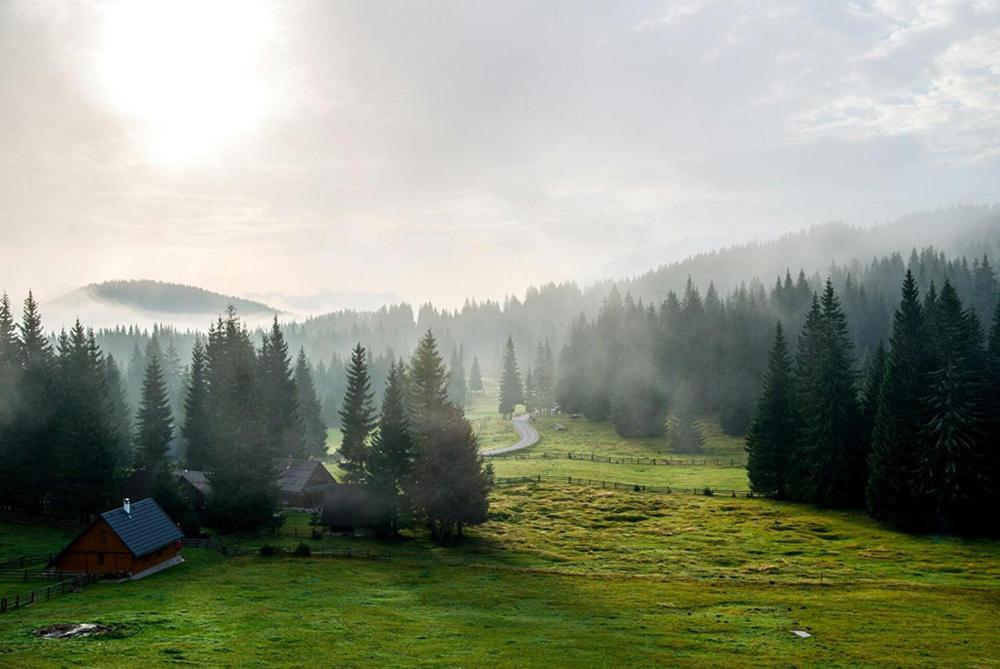 Villa Pokljuka Zgornje Gorje Exterior foto