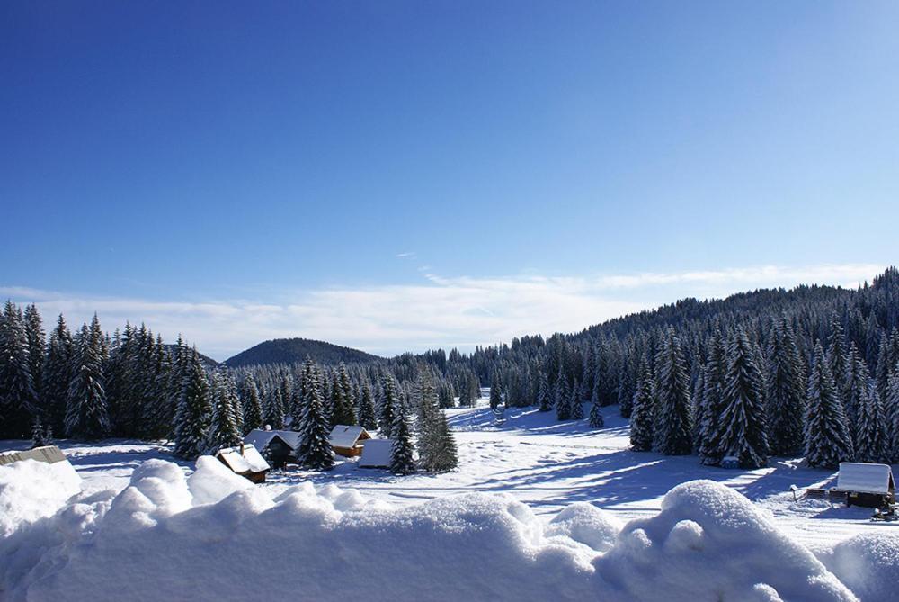 Villa Pokljuka Zgornje Gorje Exterior foto